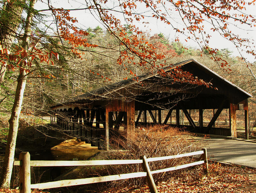 Mohican Covered Bridge Photograph by Susan Hope Finley