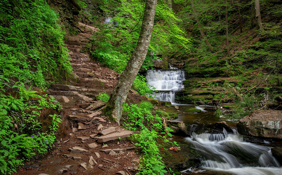 Mohican Falls Ricketts Glen Pennsylvania Photograph by Dan Sproul