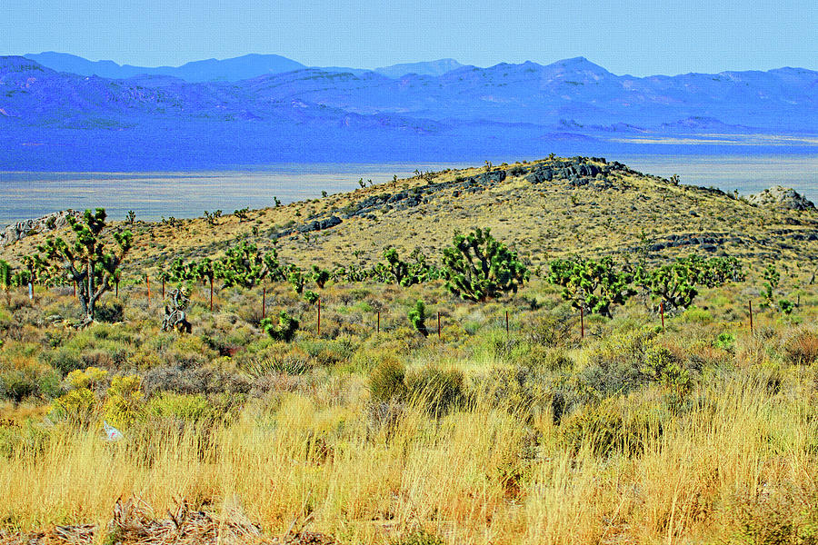 Mojave Desert California Digital Art by Tom Janca