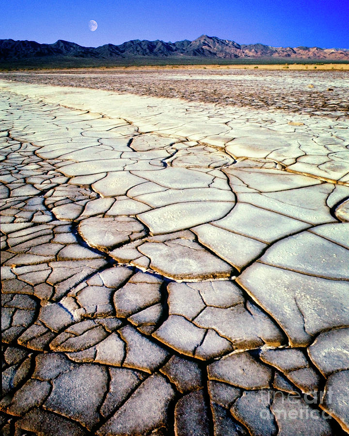 Mojave Desert Photograph by Edmund Nagele FRPS