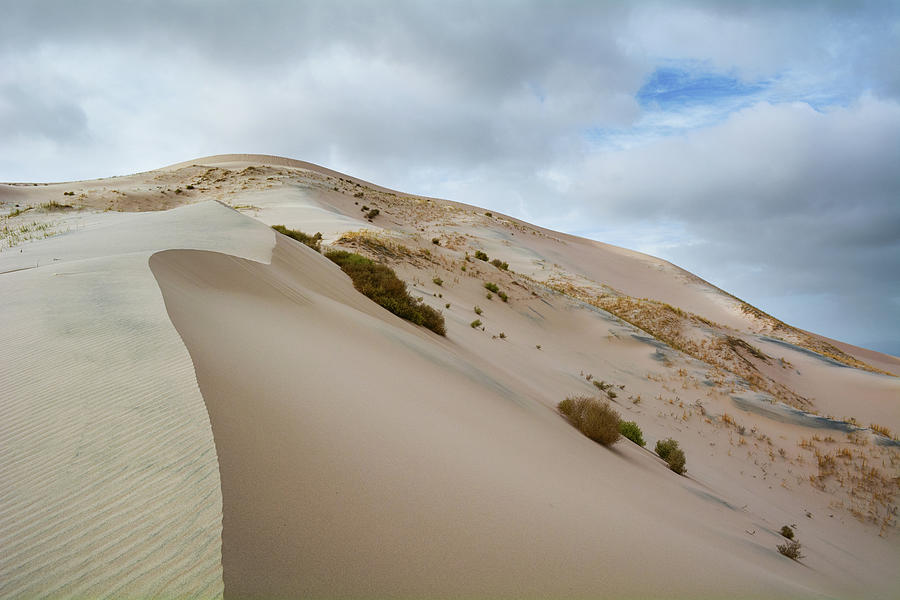 Mojave Desert Kelso Sand Dunes Photograph by Kyle Hanson