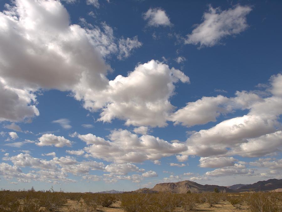 Mojave Desert Landscape Photograph by Richard Thomas