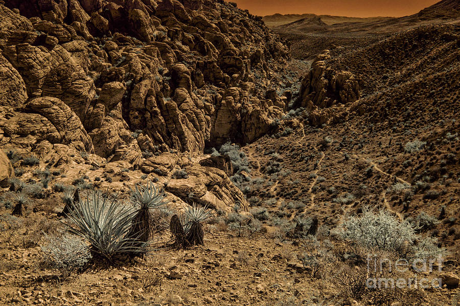 Mojave Desert - Pathway To Hell Photograph