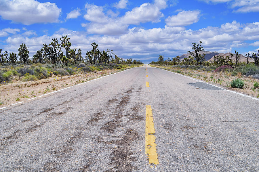 Mojave Desert Road Photograph by Kyle Hanson