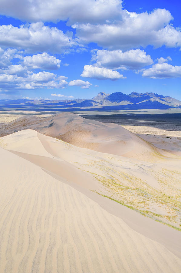 Mojave Kelso Dunes Photograph by Kyle Hanson