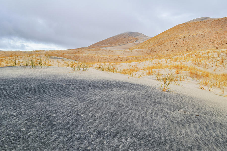 Mojave Kelso Dunes Landscape Photograph by Kyle Hanson