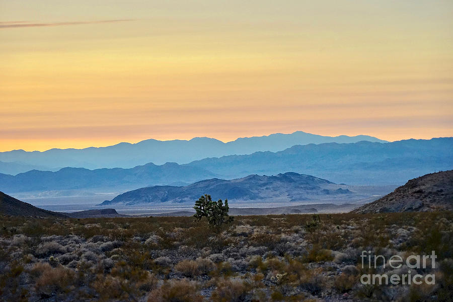 Mojave Layers Photograph by Michael Cinnamond
