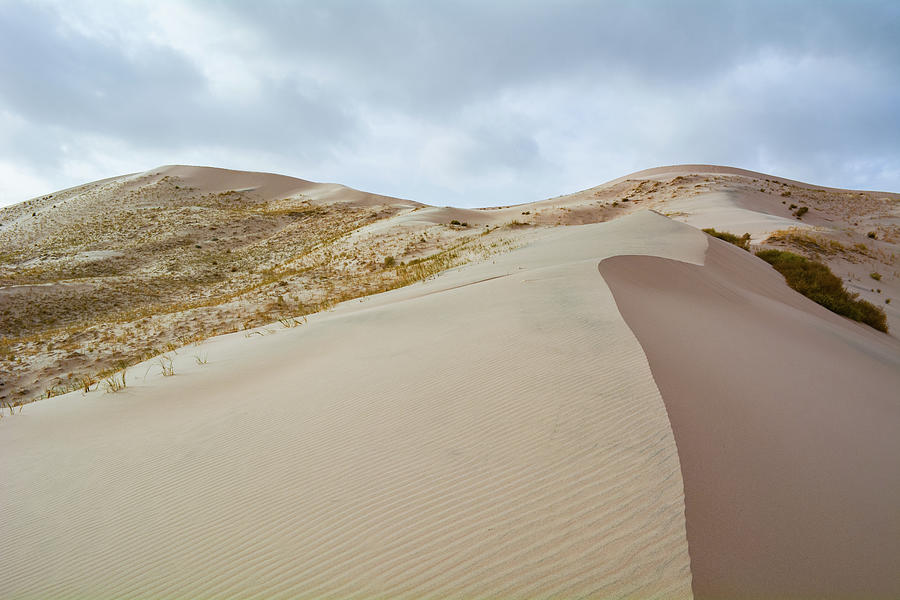 Mojave Preserve Kelso Dunes Photograph by Kyle Hanson