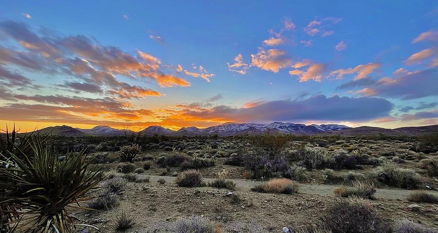 Mojave Preserve Snow Capped Mountains at Sunset Photograph by Collin ...