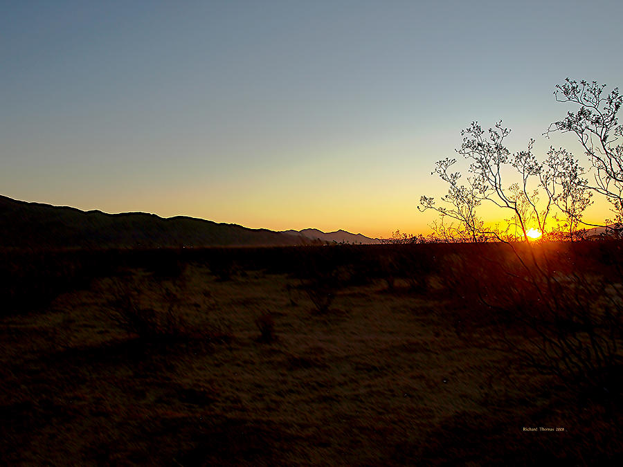 Mojave Sunrise 2008 Photograph by Richard Thomas