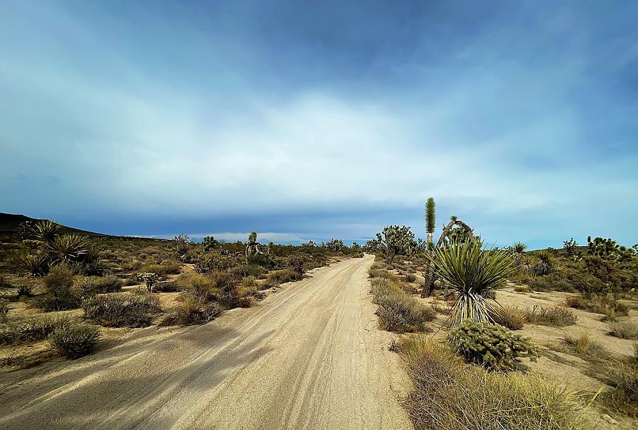 Mojave Trail Photograph by Collin Westphal - Fine Art America