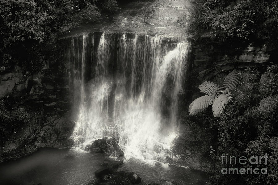 Black And White Photograph - Mokoroa Falls by Julia Preminger