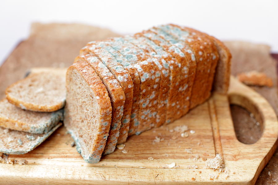 Moldy loaf of bread Photograph by Kaczor58