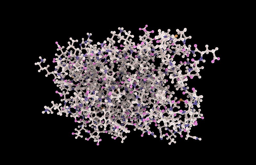 Molecular model of interferon-alpha Drawing by Dr_Microbe
