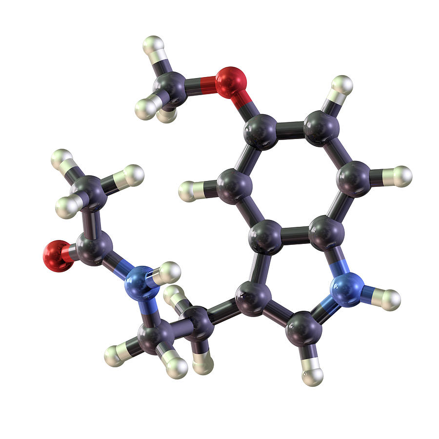 Molecule of Melatonin Photograph by Theasis