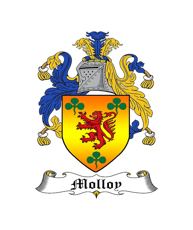 Molloy Family Crest Photograph by Cathal Devlin - Fine Art America