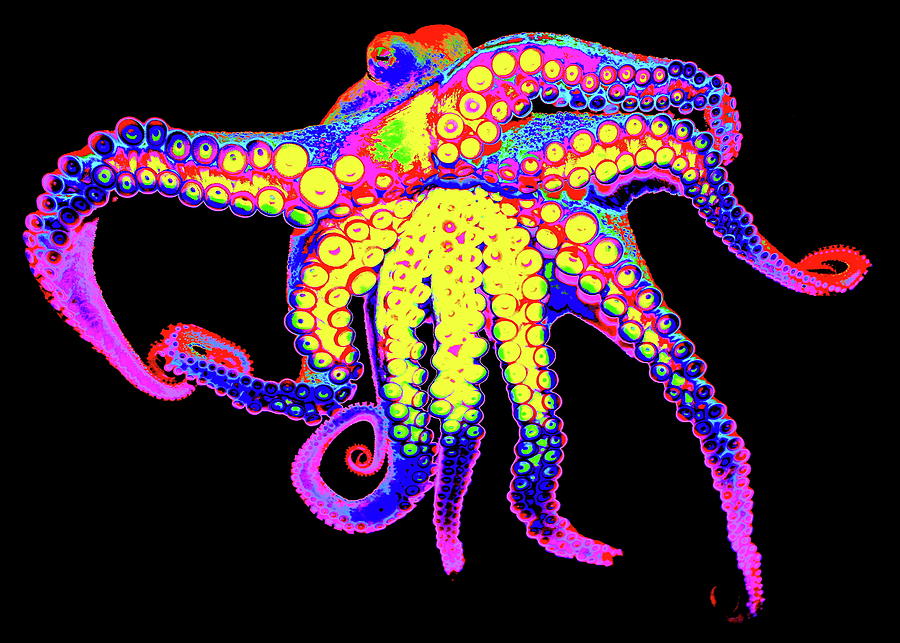 Mollusk Madness Digital Art by Larry Beat