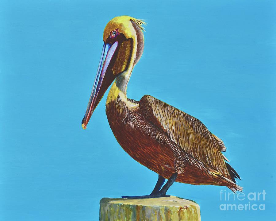 Pelican Painting - Molting by AnnaJo Vahle