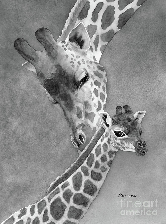 Mothers Day Painting - Mom and Baby Giraffe in Black and White by Hailey E Herrera