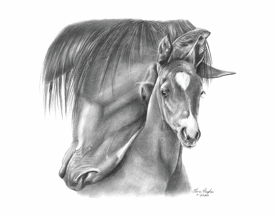 Mom and Baby Horse Drawing by Lena Auxier