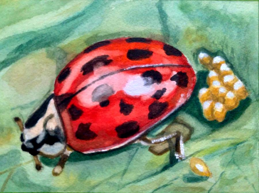 Mom-To-Be Ladybug Painting by Elena Wise - Fine Art America