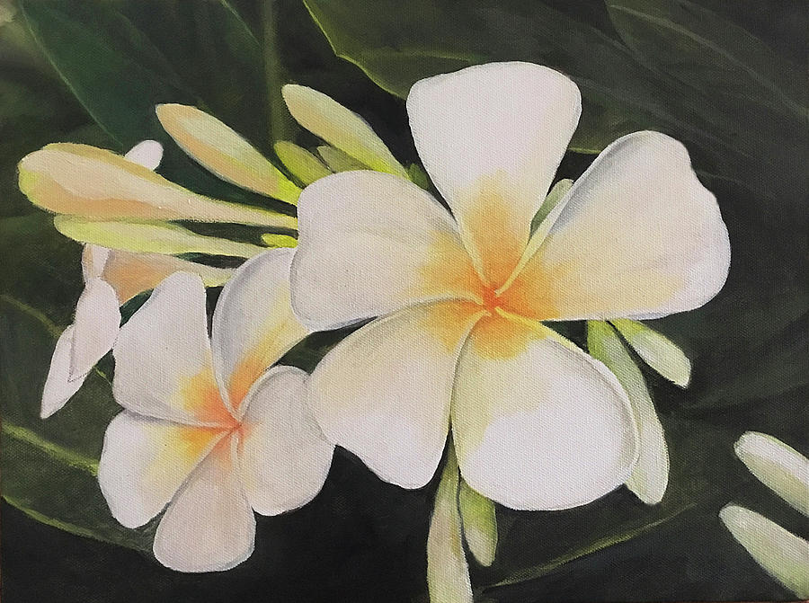 Momona Plumeria Painting by Wallace Kong - Fine Art America