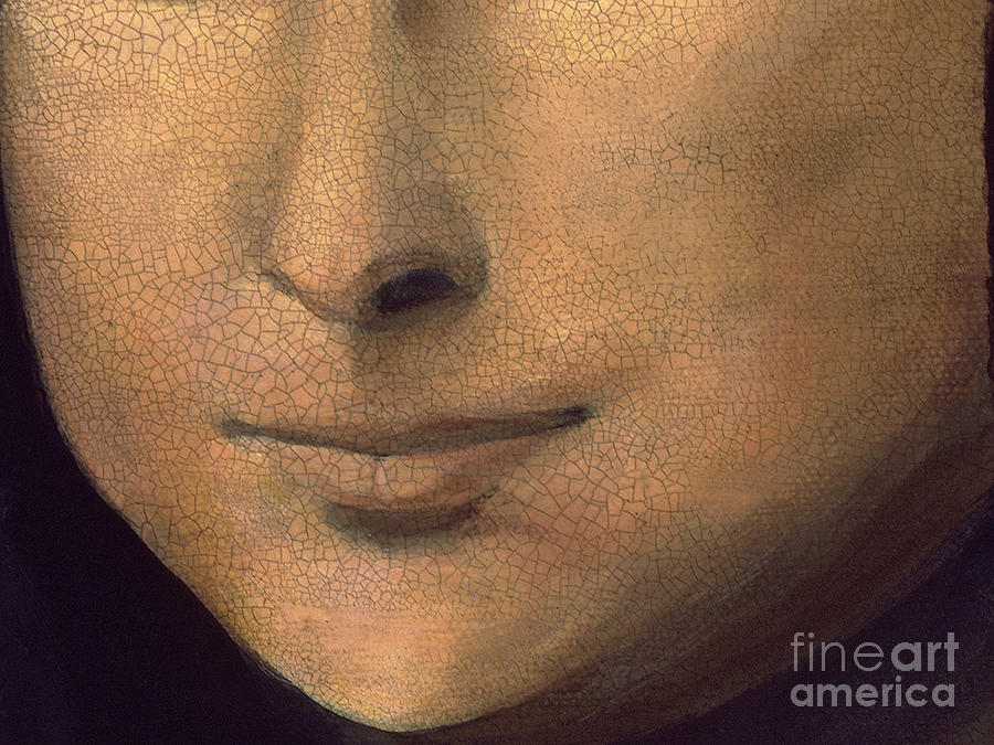 Mona Lisa Face Mask Painting by Debbie Marconi
