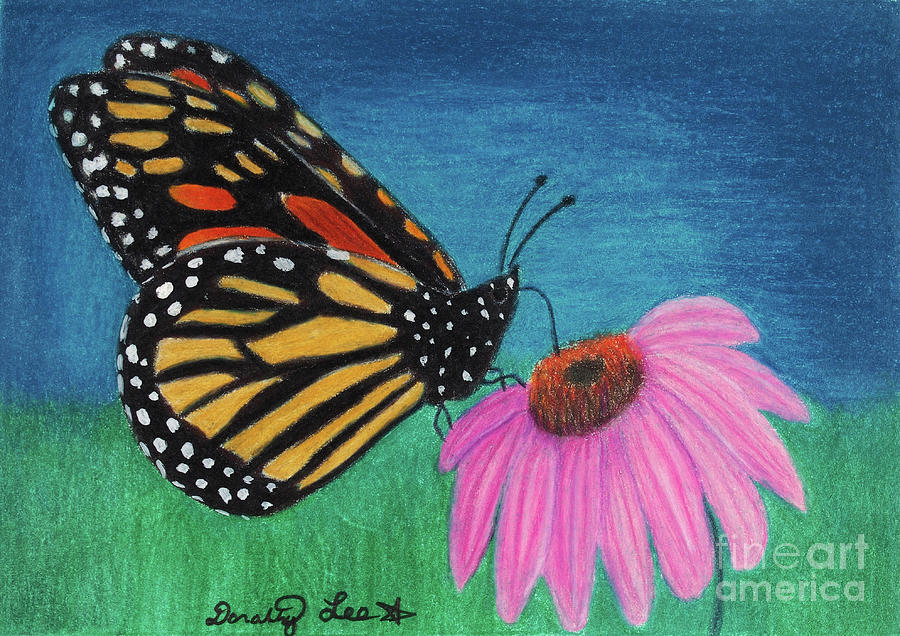 Monarch And Coneflower Painting by Dorothy Lee