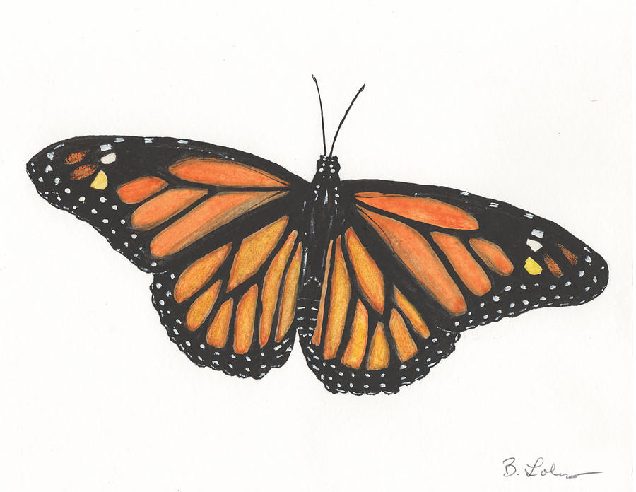 Monarch Painting by Bob Labno