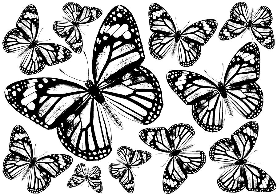 Monarch Butterflies - Black and White Digital Art by Eclectic at Heart