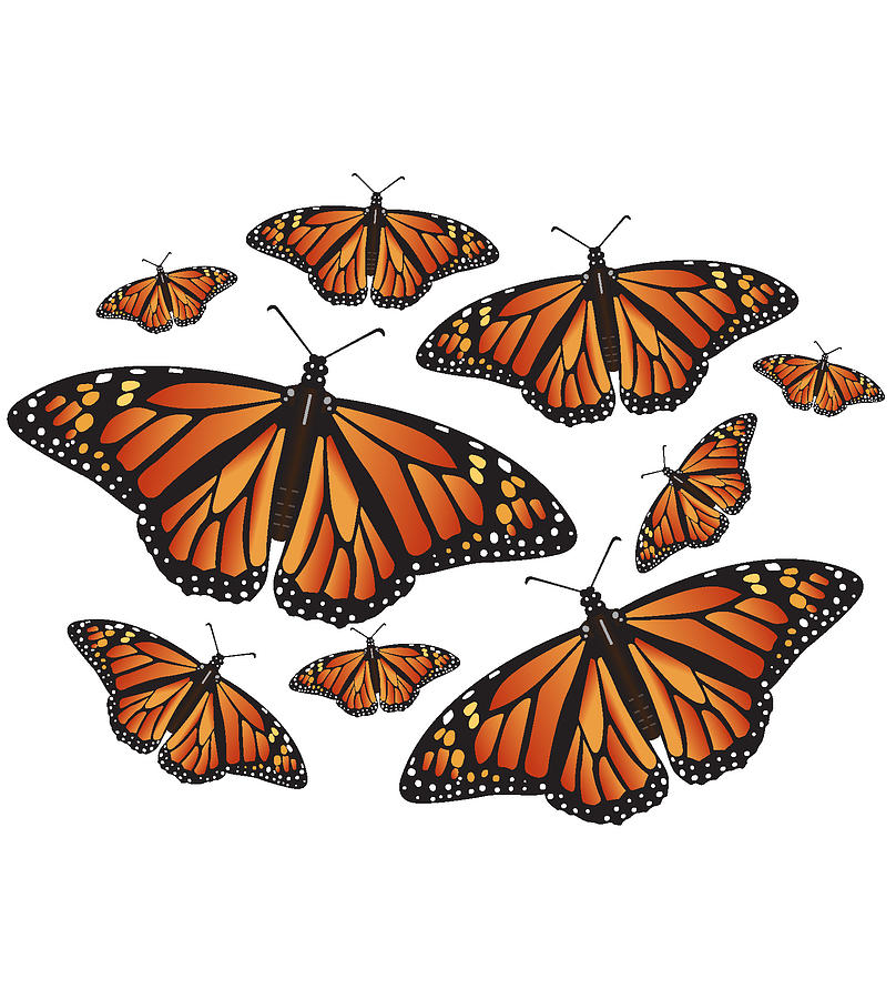 Monarch Butterflies Digital Art by Lewis Bowman
