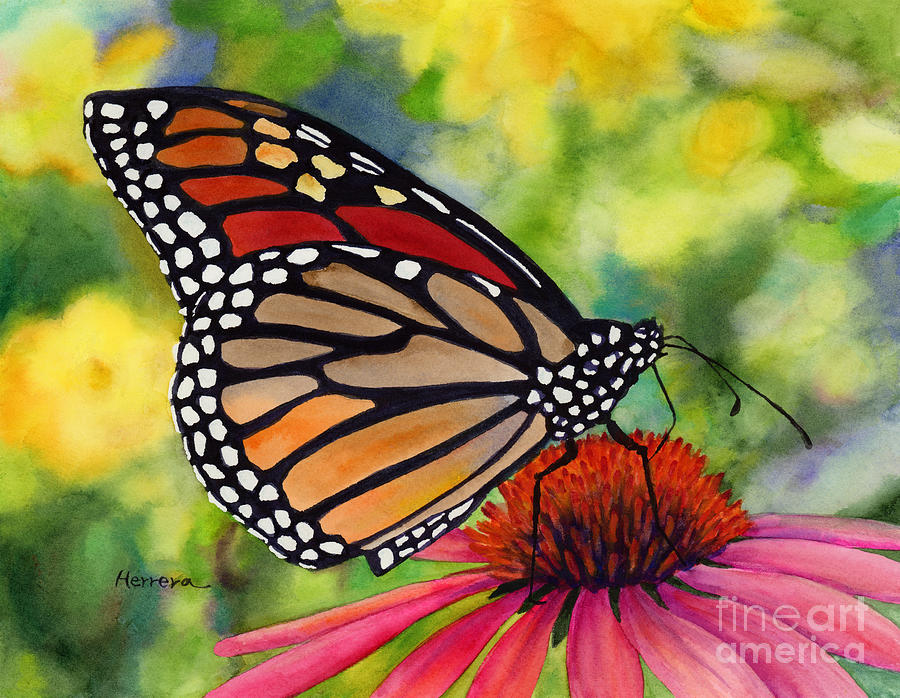 Butterfly Painting - Monarch Butterfly by Hailey E Herrera