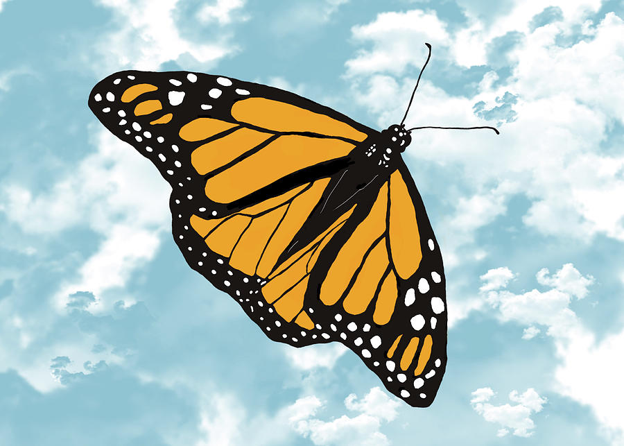 Monarch Butterfly In The Sky Digital Art By Diane Bell Fine Art America