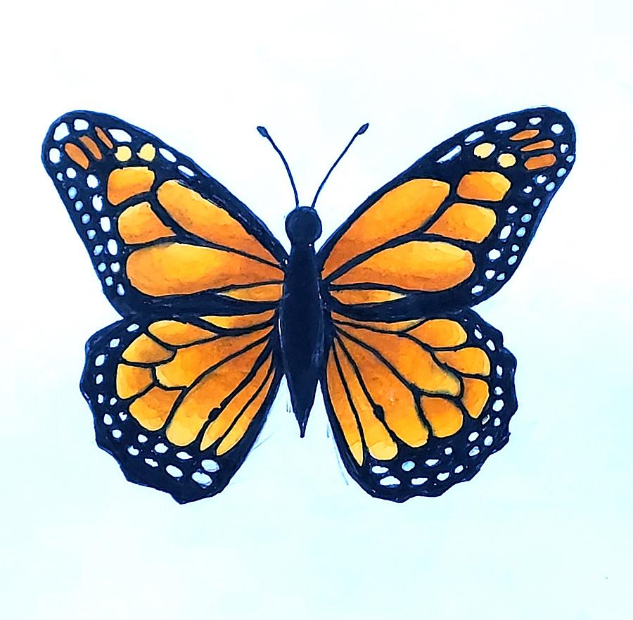 Butterfly silhouette, artistic brush instead of body, flat vector, isolated  on white, contour drawing, logo for creative people, side view 21858973  Vector Art at Vecteezy