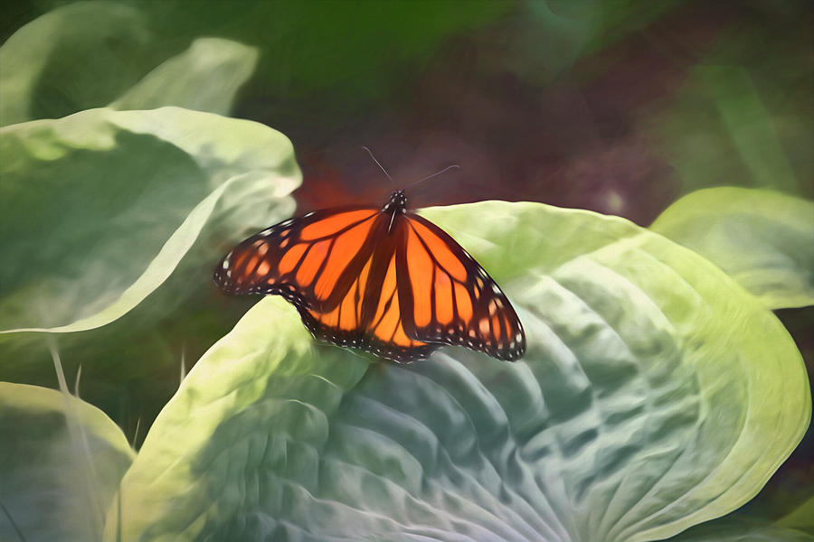 Monarch Butterfly On Hosta Mixed Media by Ann Powell