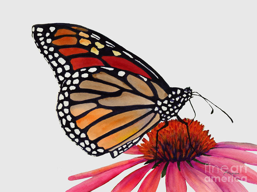 Monarch Butterfly On White Painting