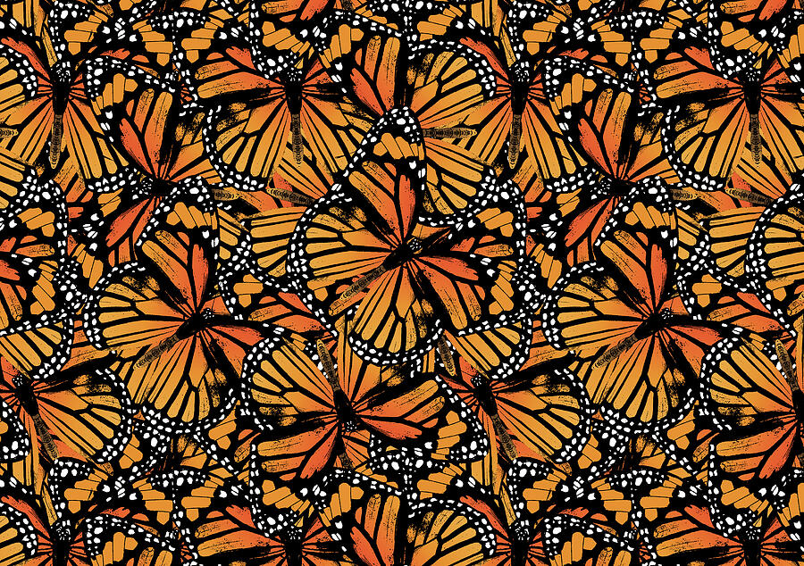 butterfly designs patterns