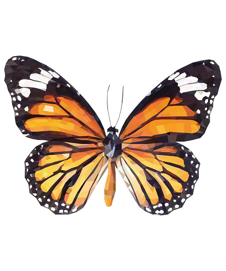 monarch butterfly Polygonal animals Poster Painting by Mia Oscar | Fine ...