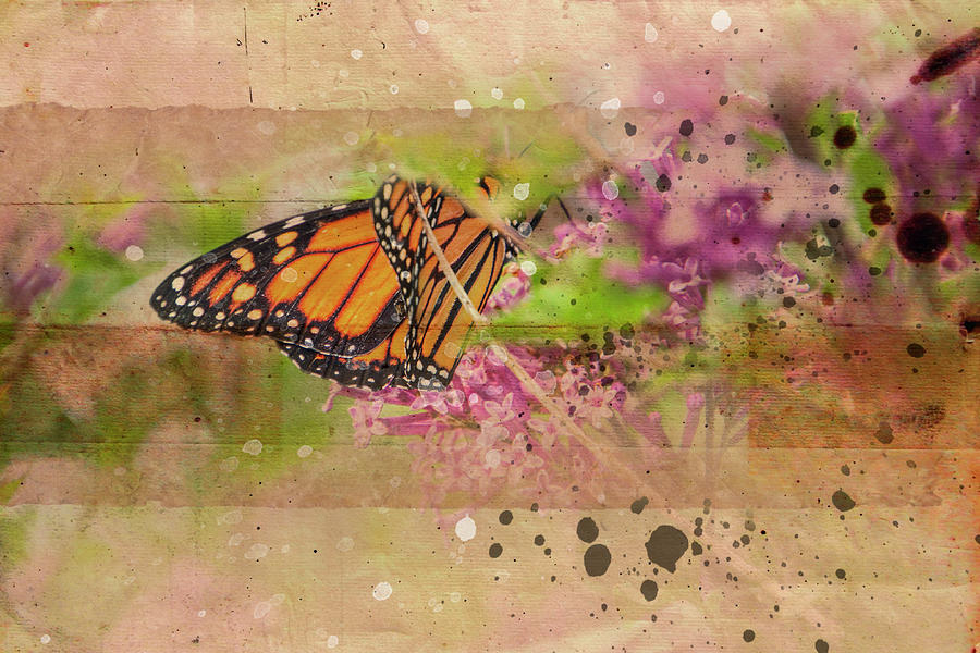 Monarch Butterfly Vintage Style Photograph by Ann Powell