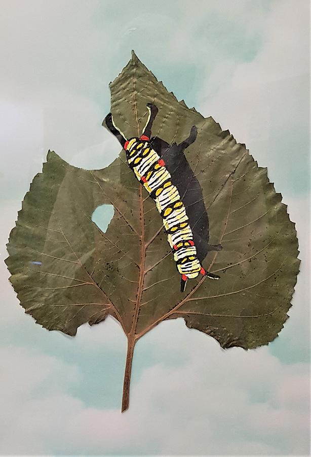 Monarch Caterpillar on Leaf Painting by Ralph Root