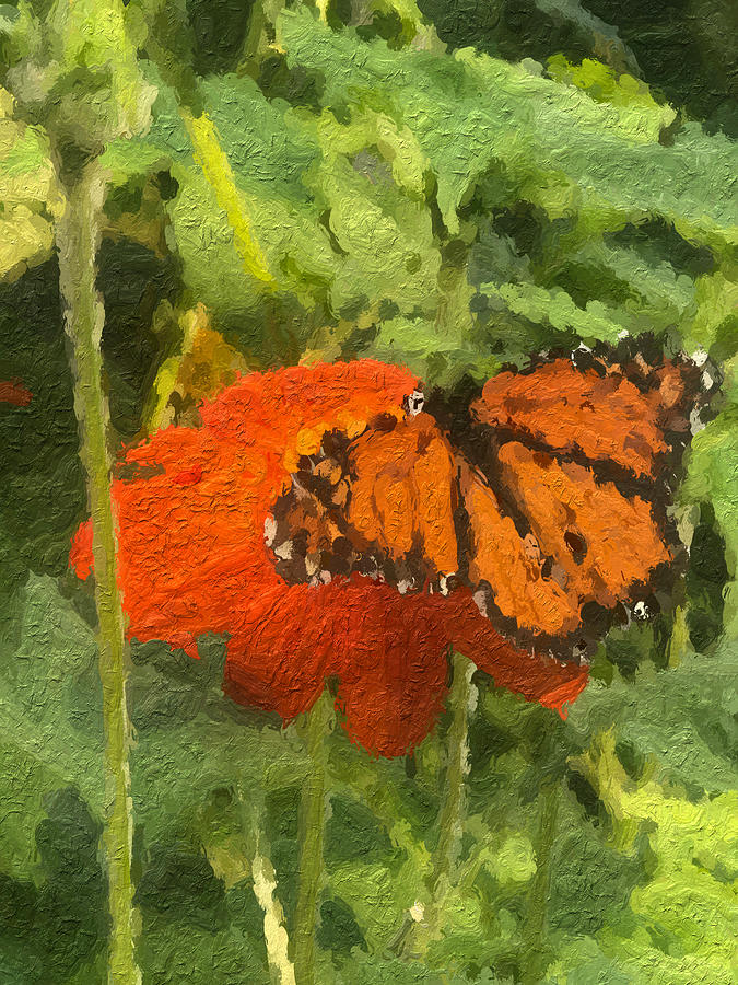 Monarch Glazed Photograph by Caroline Stella