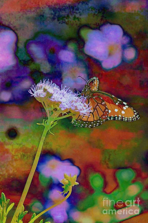 Monarch Migration Break Photograph by Toma Caul