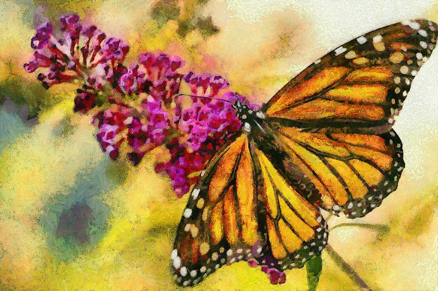 Monarch On Butterfly Bush Photograph