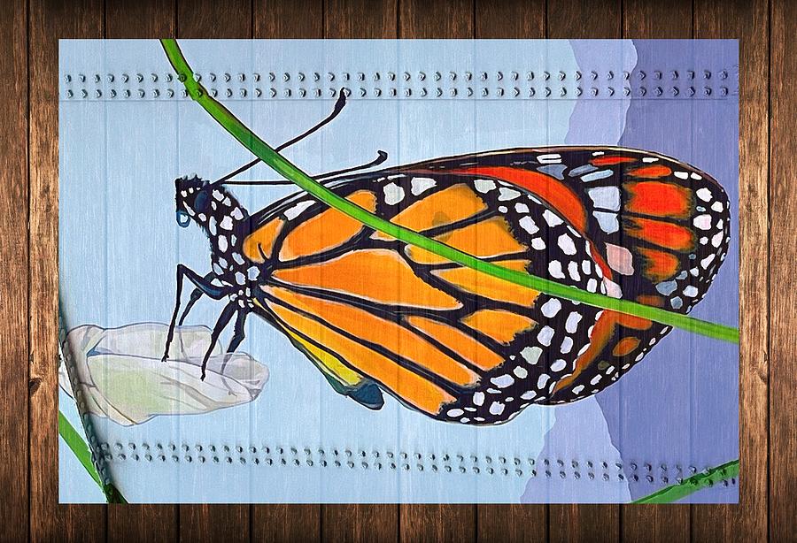 Monarch On Wood Digital Art by Steven Parker