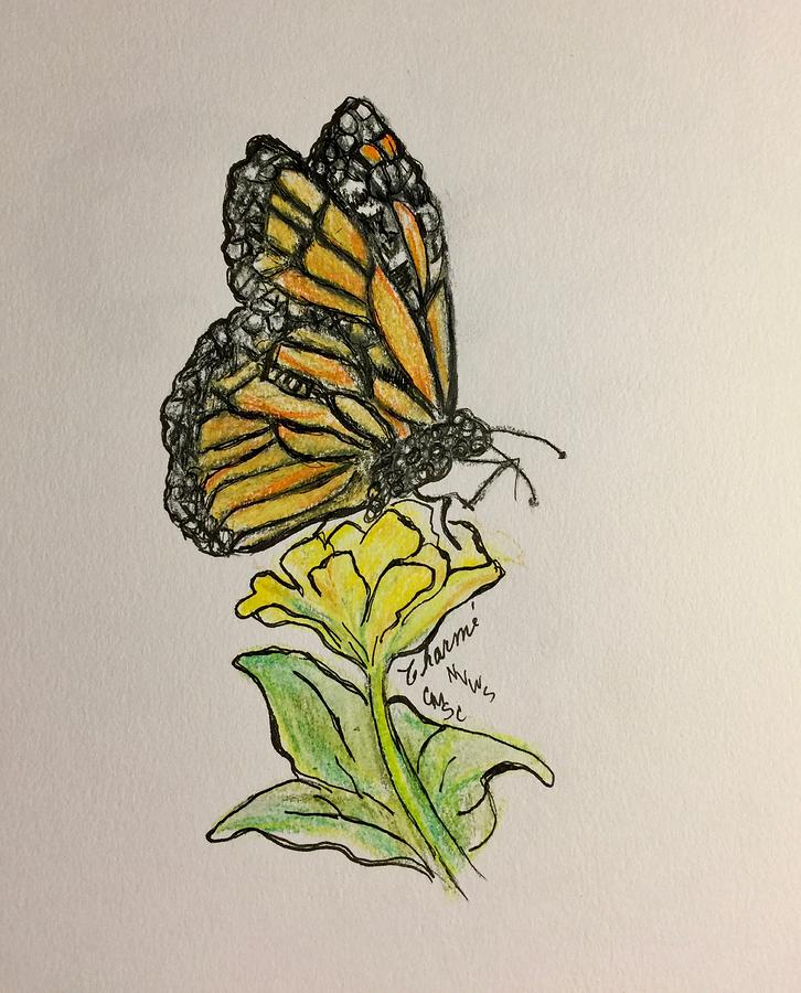 Monarch on Yellow Bloom Drawing by Charme Curtin