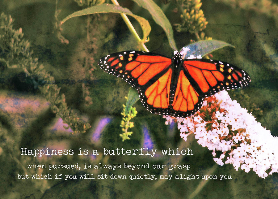 Butterfly Photograph - MONARCH quote by Jamart Photography