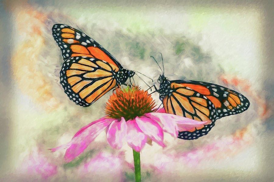 Monarchs on Conflower Mixed Media by Ron Grafe