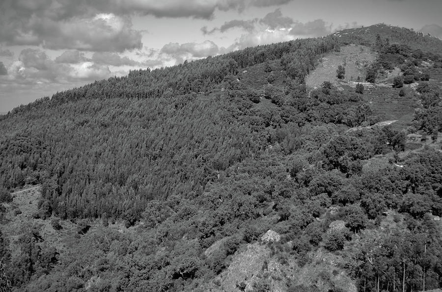 Monchique Mountain and Clouds in Monochrome Photograph by Angelo DeVal