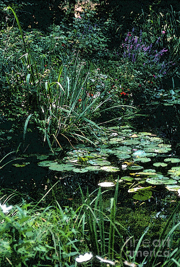 Monet Garden Lily Pads 4 Photograph by Bob Phillips