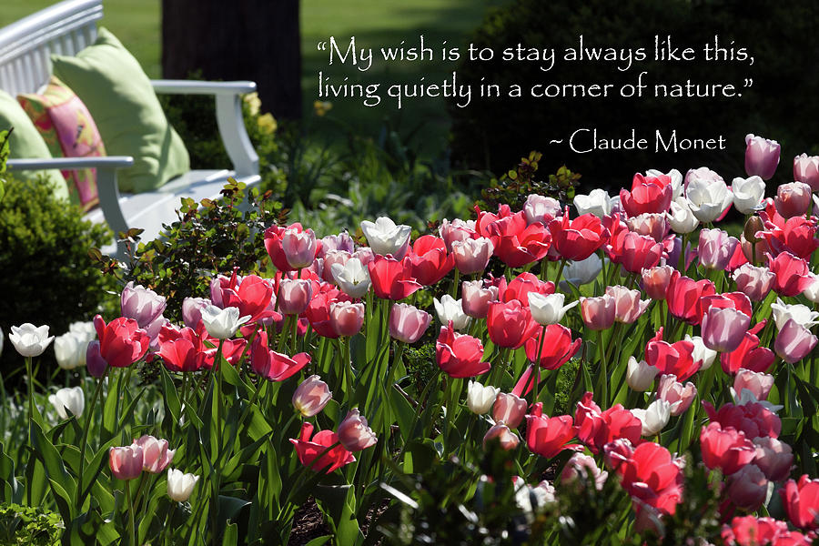 Monet Garden Wish Photograph by Karen Lee Ensley